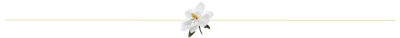 magnolia plantation bed and breakfast inn and cottages, gainesville, florida