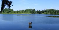Dsg UF Lake Alice 20050507