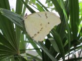 IMG 4584