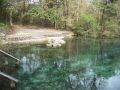 Ichetucknee Springs SP north springs05