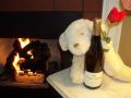 Champagne and roses