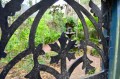 Secret Garden Courtyard thru Gate
